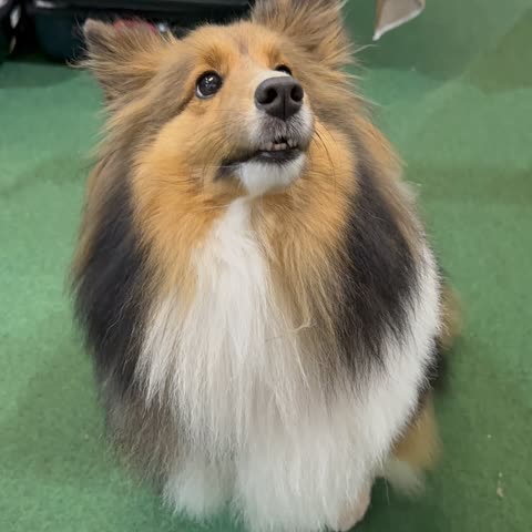 Photograph of the real Ava looking up